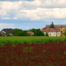 Szanyi tavasz 2019