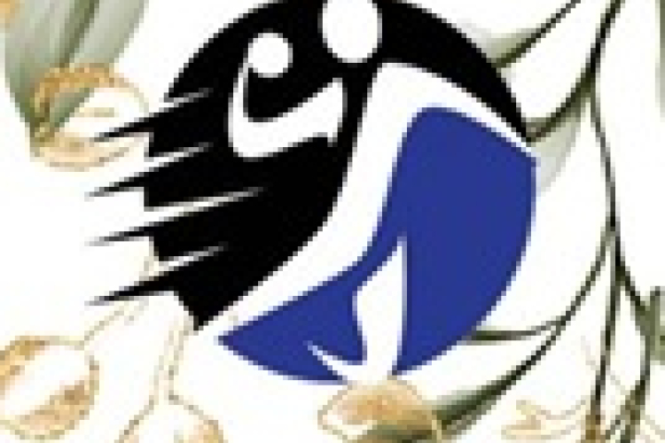 Kézilabdás bál Csornán