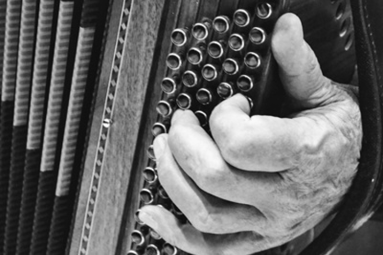 Harmonikakoncert Bogyoszlón