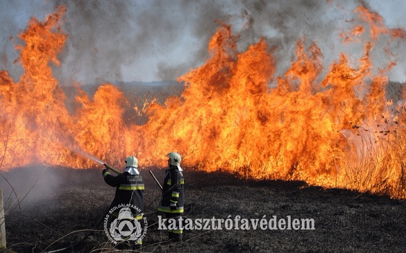 Tájékozódjon a szabadtéri égetés helyi szabályairól!