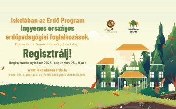 Iskolában az erdő