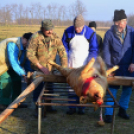 Hagyományőrző disznóölés Vásárosfalun