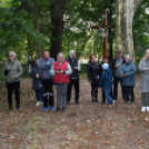 Őszi koncert az erdő tiszteletére – a zene világnapján Szanyban
