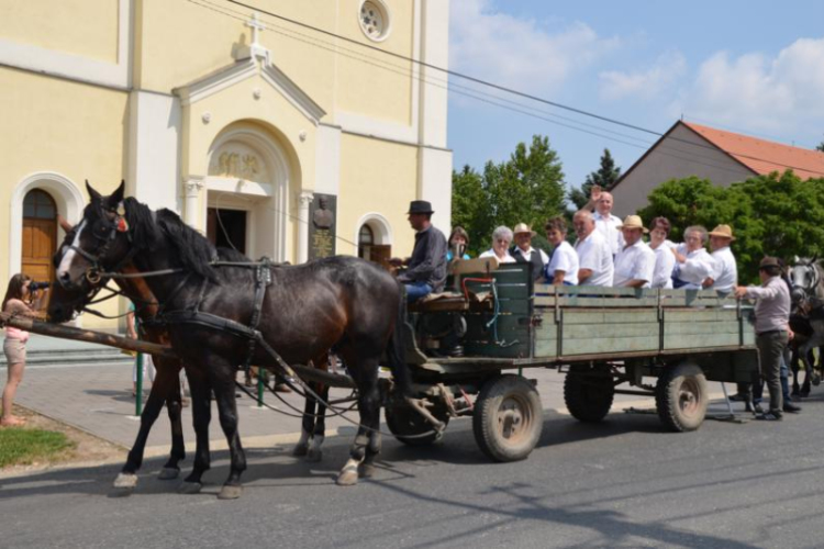 Hagyományos aratófesztivál Szilban