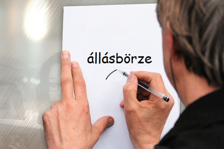 Állásbörze Csornán