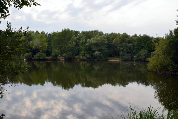 A természet kincsestára a Rábaközben