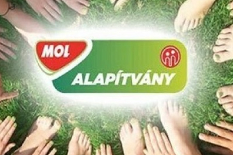 Faluszépítő társadalmi munka Rábapordányban