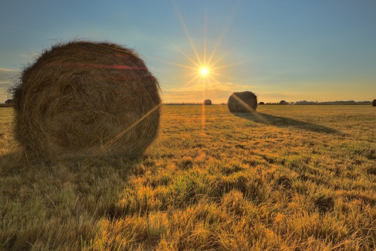 A héten csak rövid időre mérséklődik a kánikula