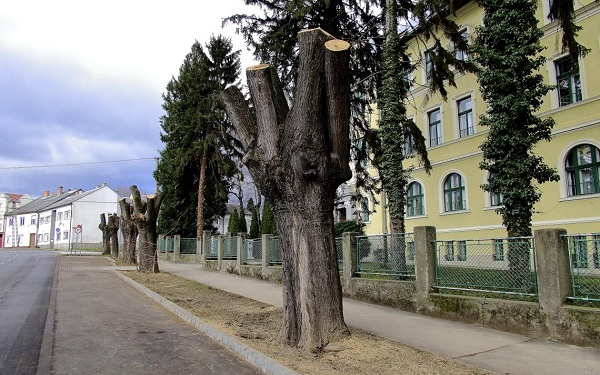 Felújítási munkák természetbarát módon