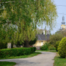 Szanyi tavasz 2014