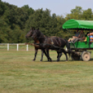 Győr-Moson-Sopron megyei vadásznap Göbösmajorban (2016. 09. 03.)