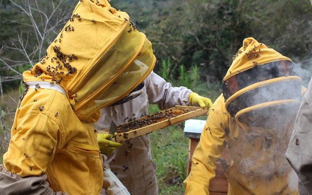 Méhészképzés a soproni egyetemen