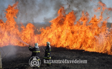 Tűzgyújtási tilalmat rendeltek el Győr-Moson-Sopron megyében is